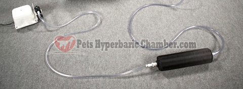 Passive Cooler and Oxygen Silencer for Pet Hyperbaric Chamber